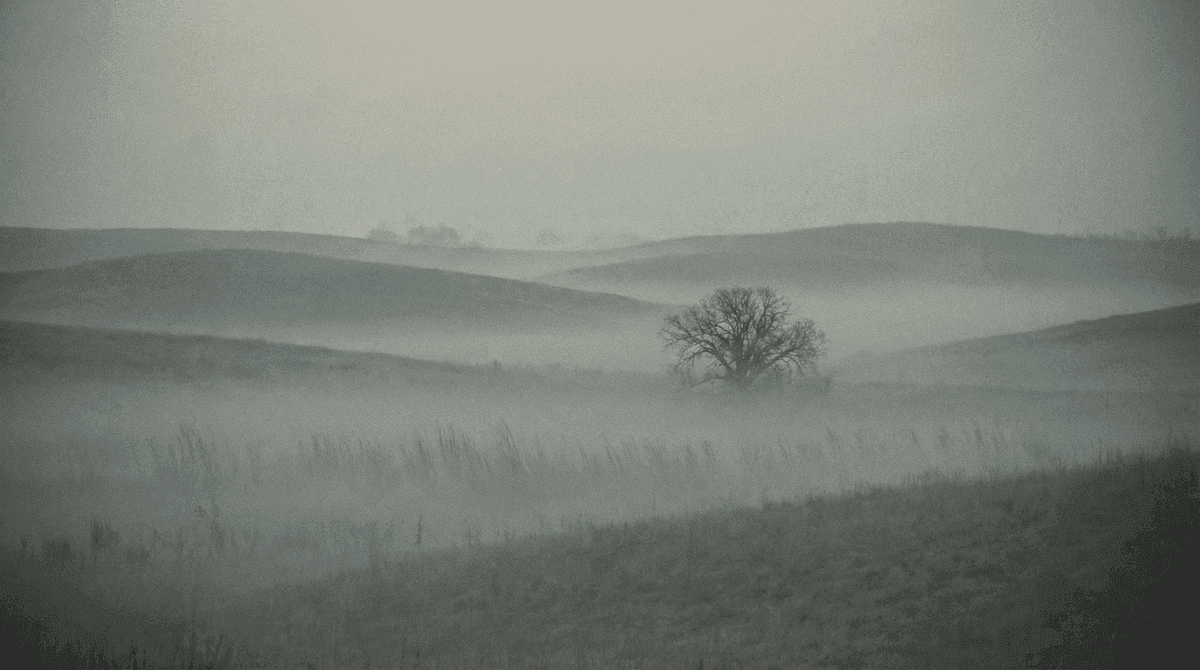 Collines dans le brouillard avec arbre solitaire
